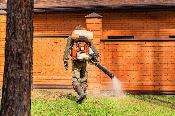 Top rated local Wasp Removal specialists in Nanawale Estates, HI